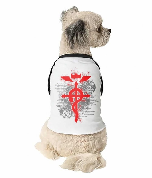 Alchemy Symbol Alchemy Symbol Póló - Fullmetal Alchemist - Grenn