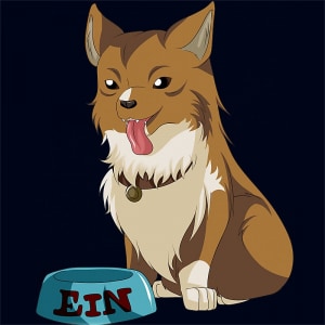Ein Ein Póló - Cowboy Bebop - Syris