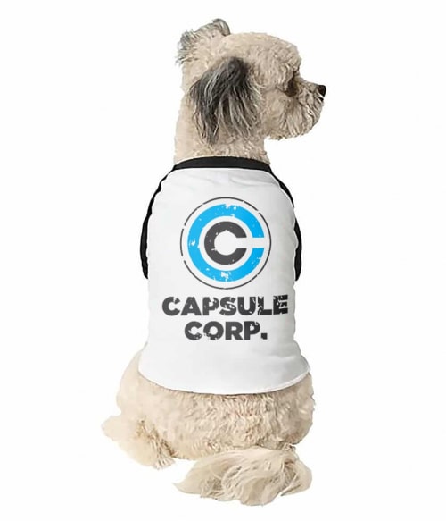 Capsule Corp Helytartó